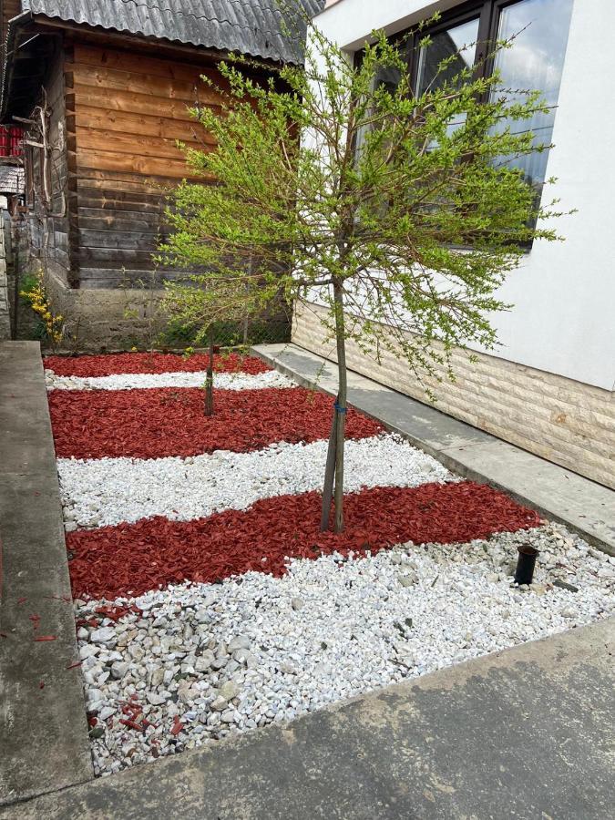 Casa Bianca Oncesti Guest House Екстериор снимка